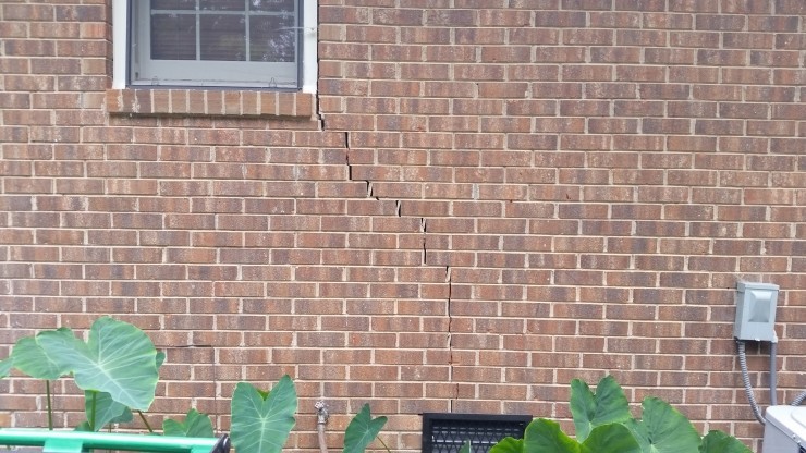 full-image